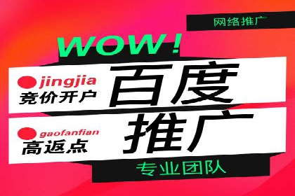 某行业巨头背后的百度竞价托管公司合作故事